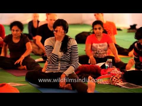 International Yogis learn the coordination of body, breath and mind - Rishikesh