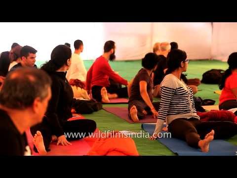 Bharath Shetty's Yoga session at India's International Yoga Festival