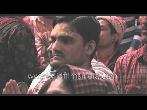 Flowers rule streets: 'Phoolon ki Holi' in Gokul, India