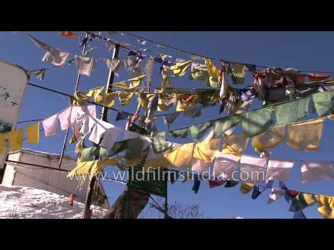 Tsomgo lake at the altitude of 3753 mtrs