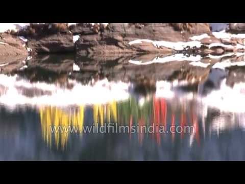 Buddhist prayer flags reflect in a Himalayan lake - Tsomgo or Changu in Sikkim