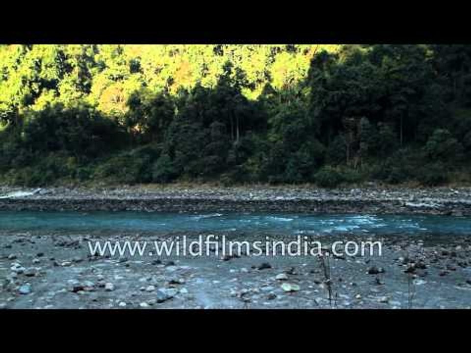 River which flows right across the length of Sikkim Teesta river