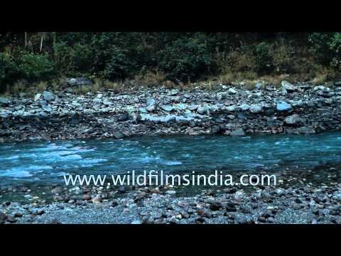 Teesta river in Sikkim, India