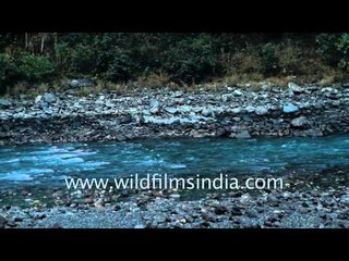 Teesta river in Sikkim, India