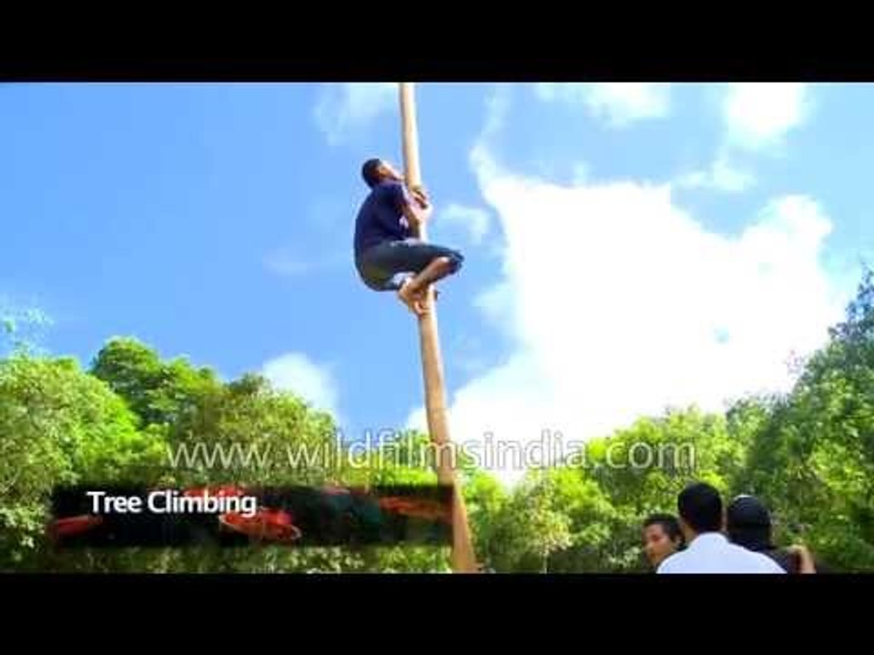 Pole climbing competition in India: Anthurium Festival, Mizoram