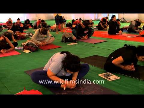 Yoga guests practising hard during International Yoga Festival, Rishikesh