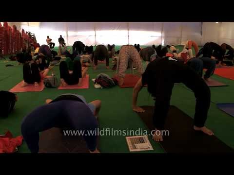 Yoga session with Bharath Shetty : International Yoga Festival, Rishikesh