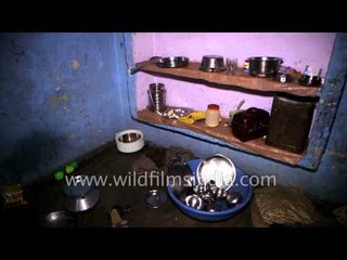 New born elephant girl sleeps with mother