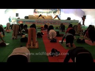 Learn to coordinate body, breath and mind through Asana