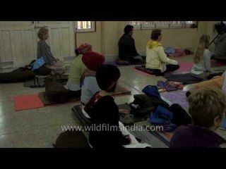 Yoga training in Rishikesh - India