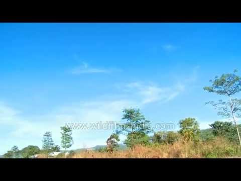 Remote Control Airplanes flying high - Mizoram
