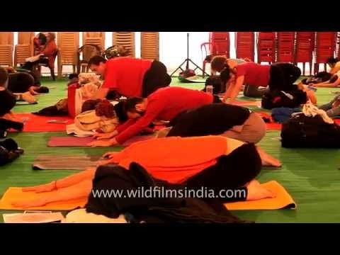 Yoga practice during the 16th International Yoga Festival