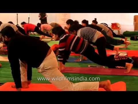16th Annual International Yoga Festival - Rishikesh, Uttarakhand