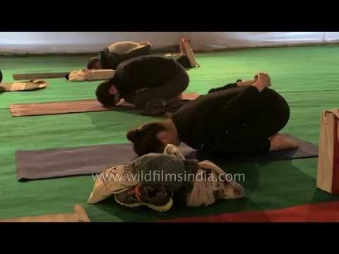 Tommy Rosen teaches Yoga to International Yogis - Rishikesh