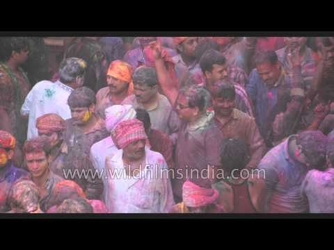 Hindu priests throws colour on devotees inside the Banke Bihari temple - Vrindavan