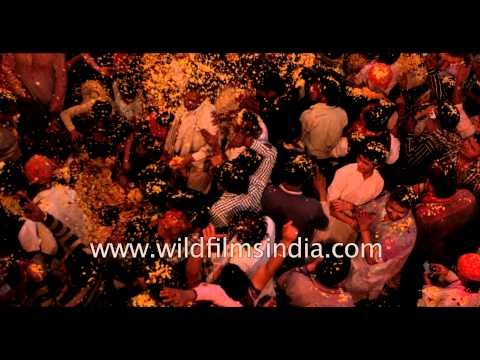 Slow motion - Flower Holi at Keshi Ghat, Vrindavan