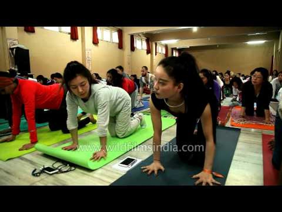 Yoga session with Deepika Mehta in Himalayan foothills