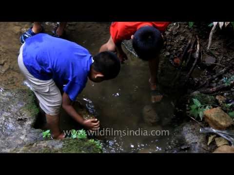 Mizo children play around Reiek Park, Mizoram
