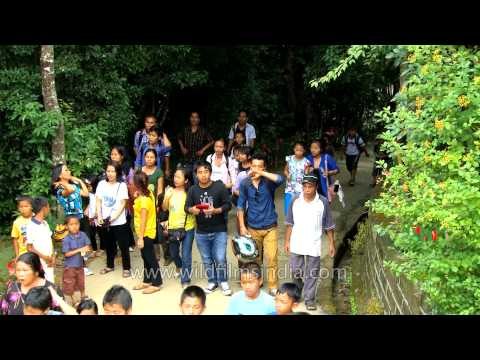 Mizo locals, visitors come forward for Athurium Festival, Mizoram