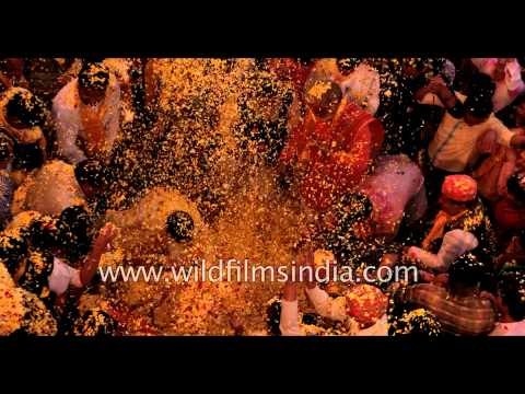 India's flower petals Holi - Vrindavan