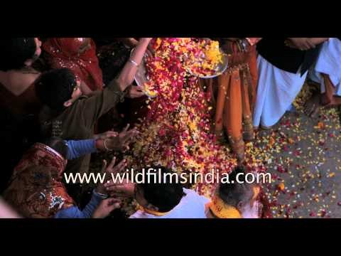 Devotees throw flower petals on Radha-Krishan: Phoolon ki Holi in Vrindavan