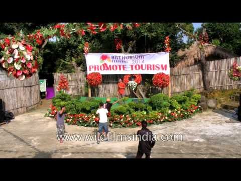Anthurium Festival celebration - Mizoram