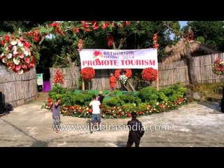 Anthurium Festival celebration - Mizoram