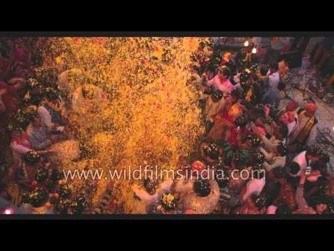 No colours but flower petals - 'Phoolon ki Holi' in Vrindavan
