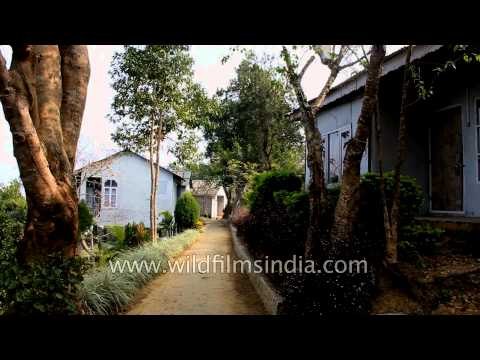 Mizoram Tourism House at Reiek village, Mizoram