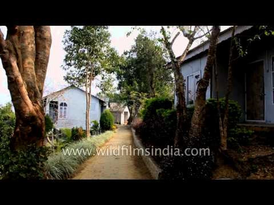 Mizoram Tourism House at Reiek village, Mizoram