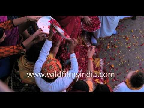 Slow motion - Flower petals used for playing Holi in Vrindavan