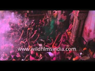 Rainbow of colours at Banke Bihari temple