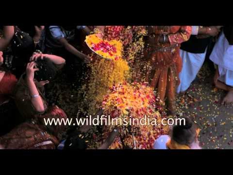 Flower Holi in Vrindavan, India - Slow motion