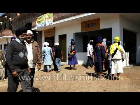 Nihangs gather to celebrate Hola Mohalla - Punjab