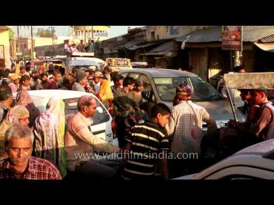 Holi festival celebration in Vrindavan - India