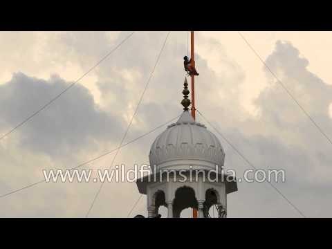 Sikh man wraps Nishan Sahib at Sri Keshgarh Sahib Gurudwara, Punjab
