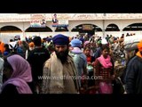 Sikhs gather at Anandpur Sahib Gurudwara on Hola Mohalla