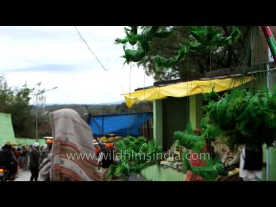Plastic parrot toys on sale outside Dargah Peer Sai Baba Budhan Shahji