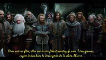 Le Hobbit la Bataille des Cinq Armées Film Streaming VF regarder entièrement en Français