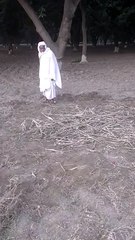 پرانی ہے لیکن مزیدار بہت