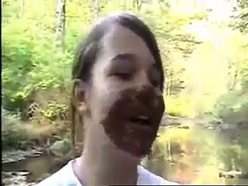 Pie in the Face 5