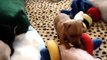 Sable's 4 week old miniature pinscher puppies..#2