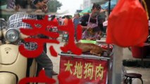 Festival of Cruelty: Inside Yulin's dog meat festival
