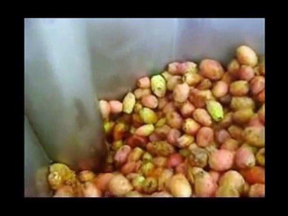 HUILE DE FIGUE DE BARBARIE