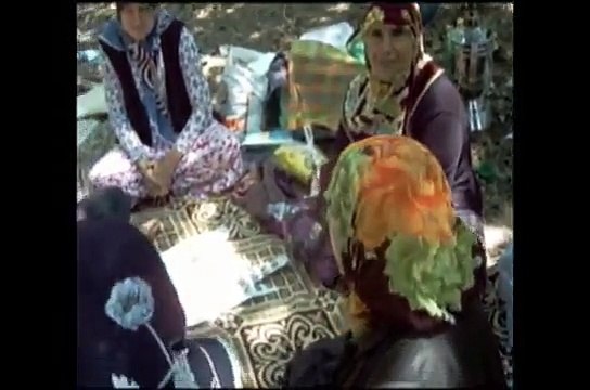 Resadiye Koyu ve Senlik (Susurluk - Balikesir)