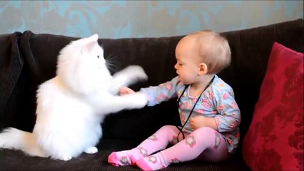 WHEN CATS & BABIES COLLIDE