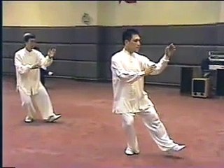 Tai Chi 37-Style - Barry Lin