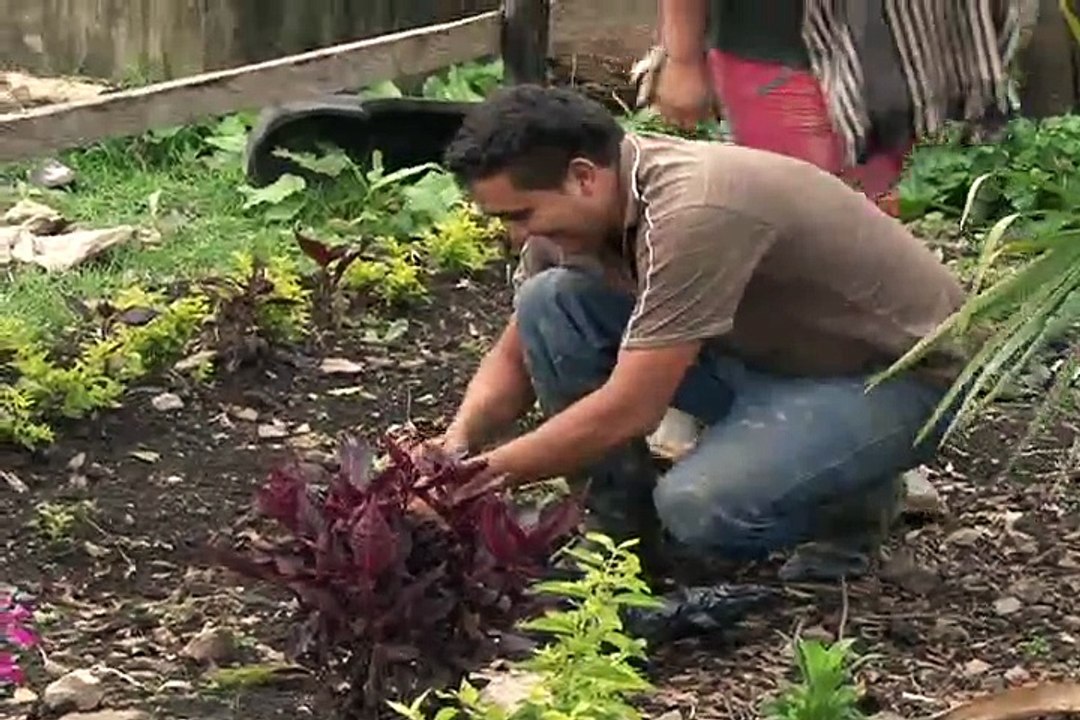 30 de mayo de 2015 Mongua Boyacá Café Salinas de Mongua con comerciales web (1)