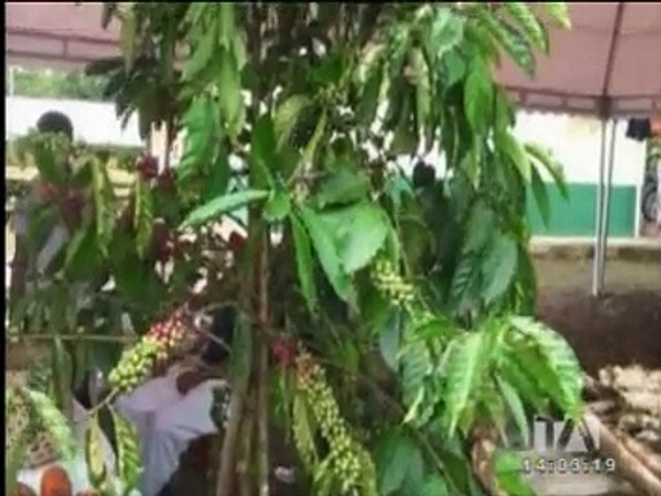 Constumbres y tradiciones se exhiben en la feria Yamanunca