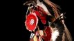 RED EARTH POW WOW CHAMPIONSHIP 3